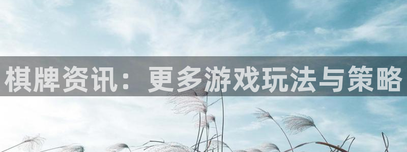 奇亿娱乐官网登录：棋牌资讯：更多游戏玩法与策略