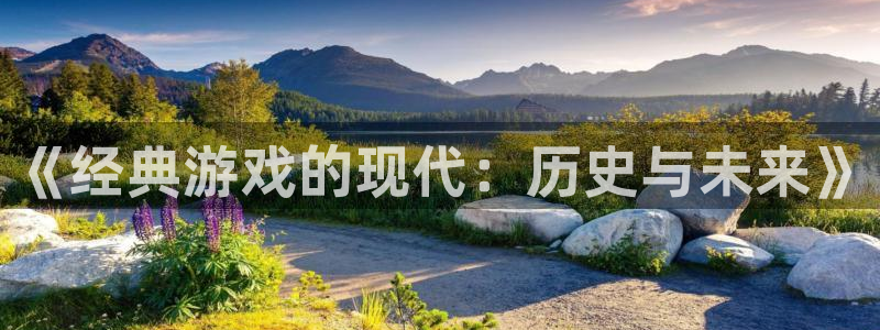 沐春奇亿娱乐：《经典游戏的现代：历史与未来》
