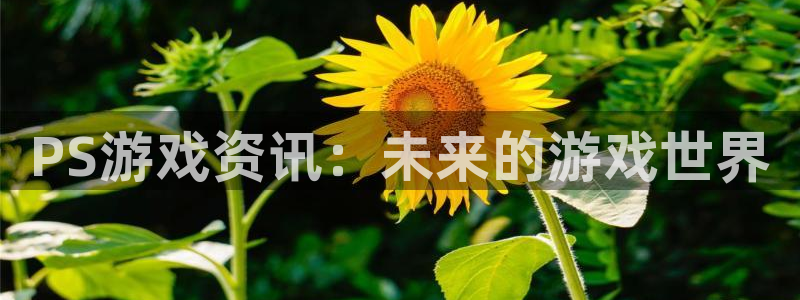 奇亿娱乐官网登录：PS游戏资讯：未来的游戏世界