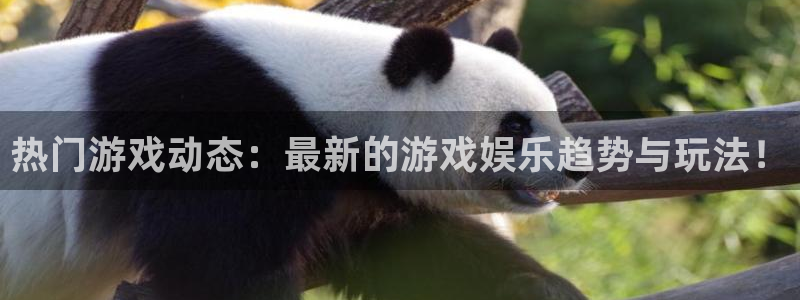 奇亿娱乐4开户：热门游戏动态：最新的游戏娱乐趋势与玩法！