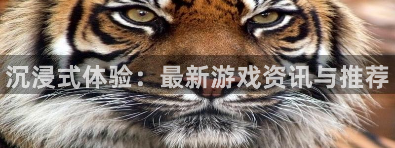 奇亿娱乐网页版地址：沉浸式体验：最新游戏资讯与推荐